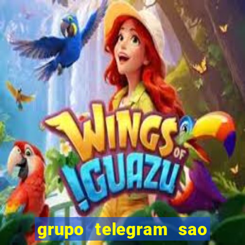 grupo telegram sao jose do rio preto