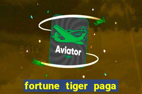 fortune tiger paga de madrugada