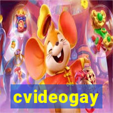 cvideogay