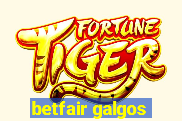 betfair galgos