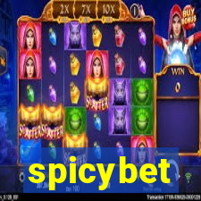 spicybet-4.com