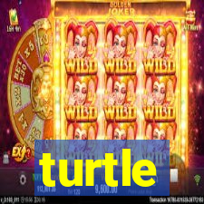 turtle-ty.com