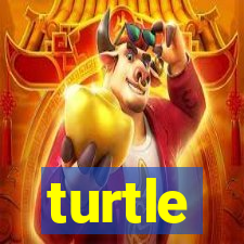 turtle-ty.com