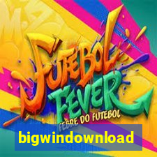 bigwindownload