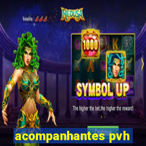 acompanhantes pvh