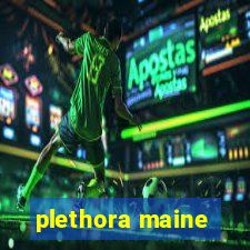 plethora maine