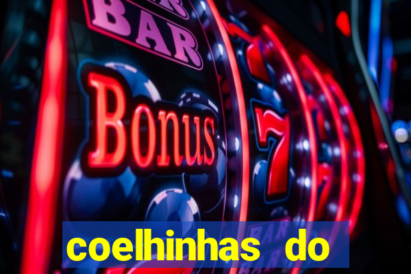 coelhinhas do brasil site