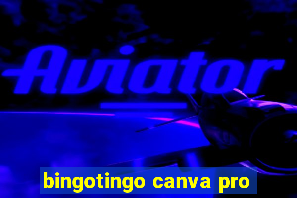 bingotingo canva pro