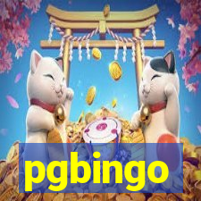 pgbingo