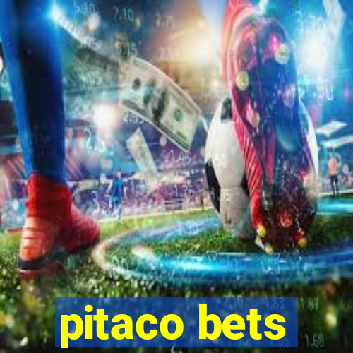 pitaco bets