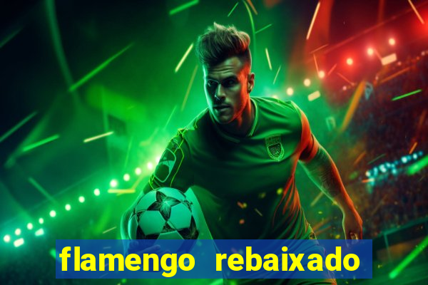 flamengo rebaixado em 1995