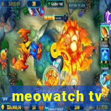 meowatch tv