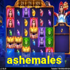 ashemales
