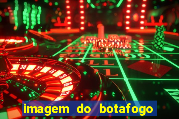 imagem do botafogo zuando o palmeiras