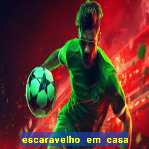 escaravelho em casa significado espiritual