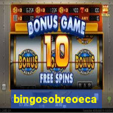 bingosobreoeca