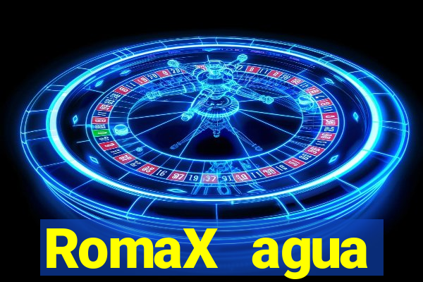 RomaX agua sanitaria fispq agua sanitaria romax