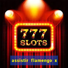 assistir flamengo x corinthians multi canais
