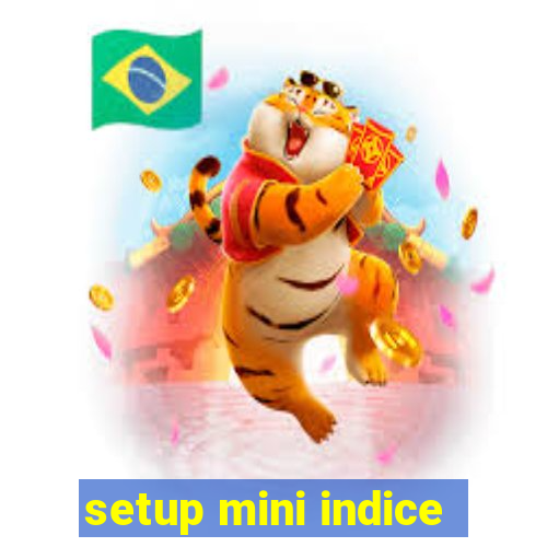 setup mini indice