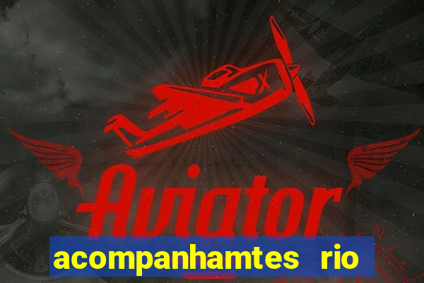 acompanhamtes rio de janeiro
