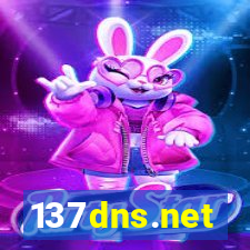 137dns.net