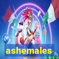 ashemales