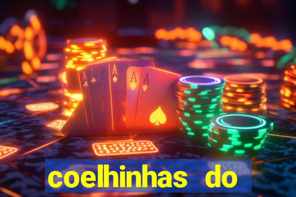 coelhinhas do brasil acompanhantes
