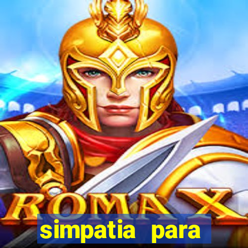simpatia para ganhar na loteria com folha de louro