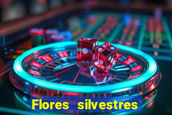 Flores silvestres brasileiras 25