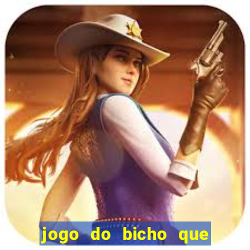 jogo do bicho que paga no pix