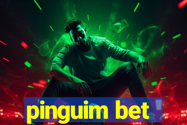 pinguim bet