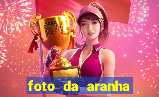 foto da aranha mais feia do mundo