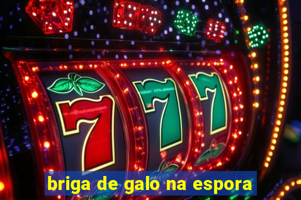 briga de galo na espora