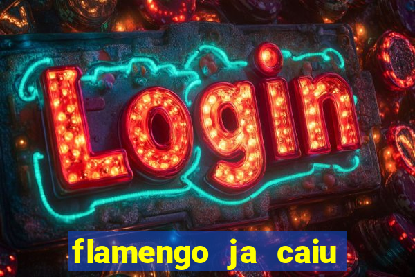 flamengo ja caiu para serie b