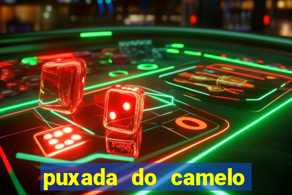 puxada do camelo jogo do bicho