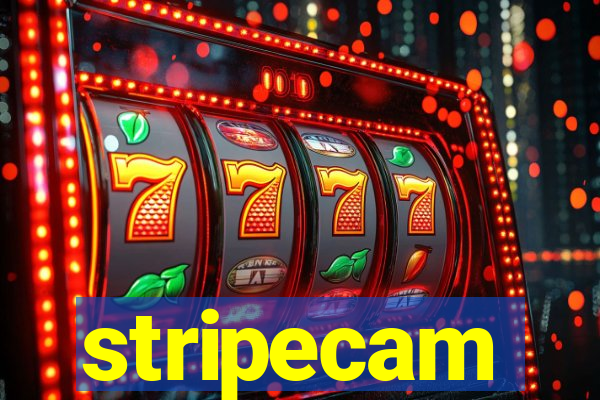 stripecam