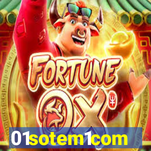 01sotem1com