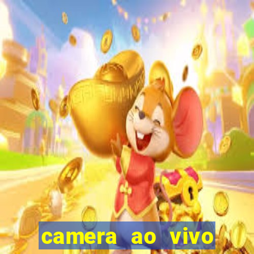 camera ao vivo beto carrero