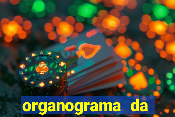 organograma da cacau show