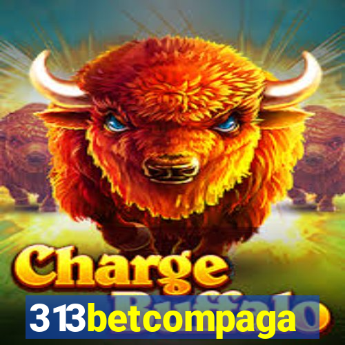 313betcompaga