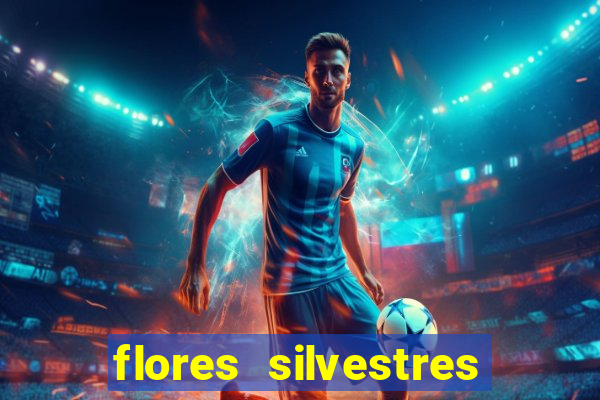 flores silvestres desbravadores desbravadores 25 flores silvestres e seus nomes