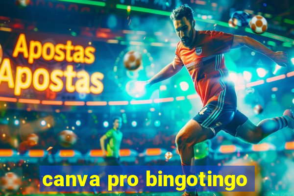 canva pro bingotingo