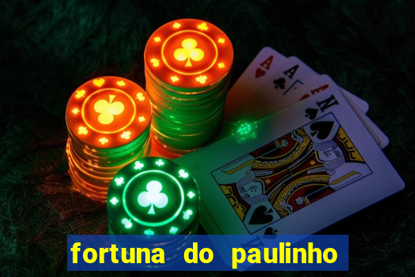 fortuna do paulinho do roupa nova