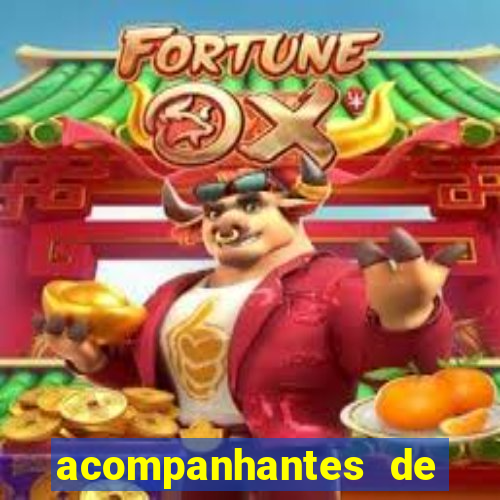 acompanhantes de juiz de fora