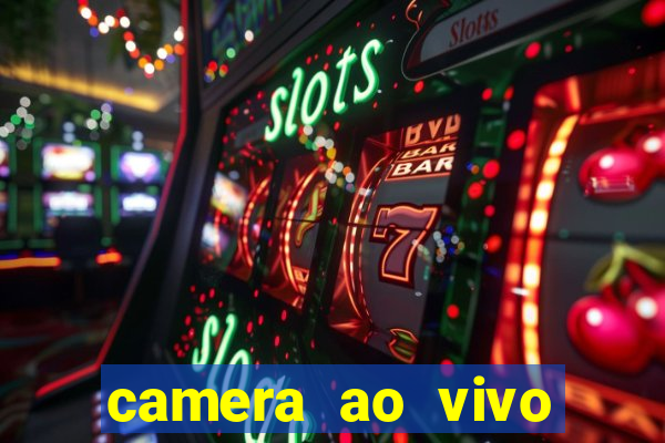 camera ao vivo praia do forte bahia