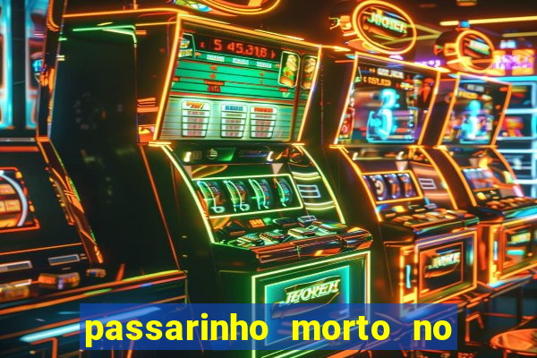 passarinho morto no quintal significado espiritual