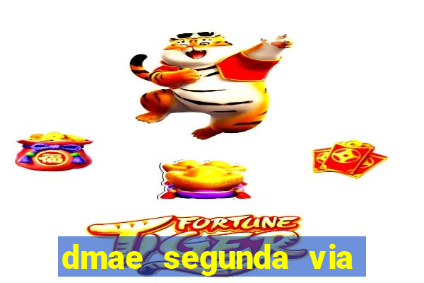 dmae segunda via porto alegre