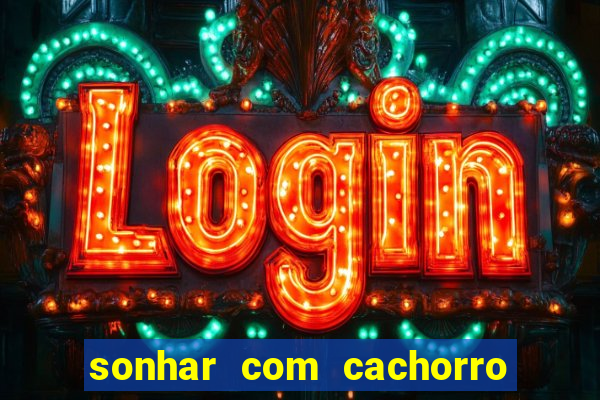 sonhar com cachorro numeros da mega sena