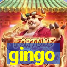 gingo