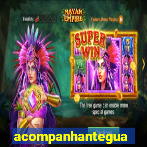 acompanhanteguanambi